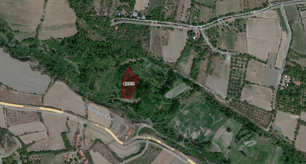 KASTAMONU TOSYA BAHÇELİEVLER KÖYÜNDE 2.549   M² ÇELTİK TARLAMIZ SATILIKTIR.  - KASTAMONU TOSYA fotoğraf 4